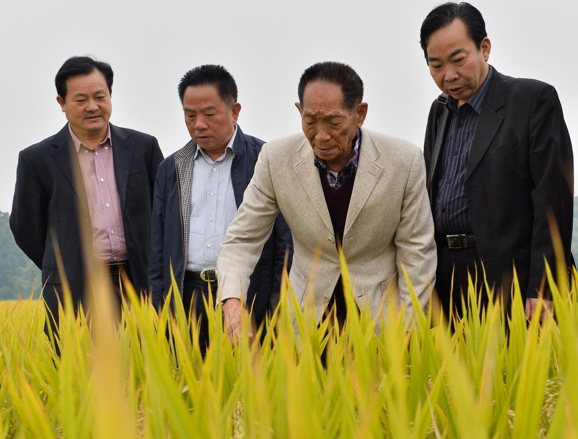 1621689778907529.jpg XxjpsgC007312_20190922_PEPFN0A001.JPG